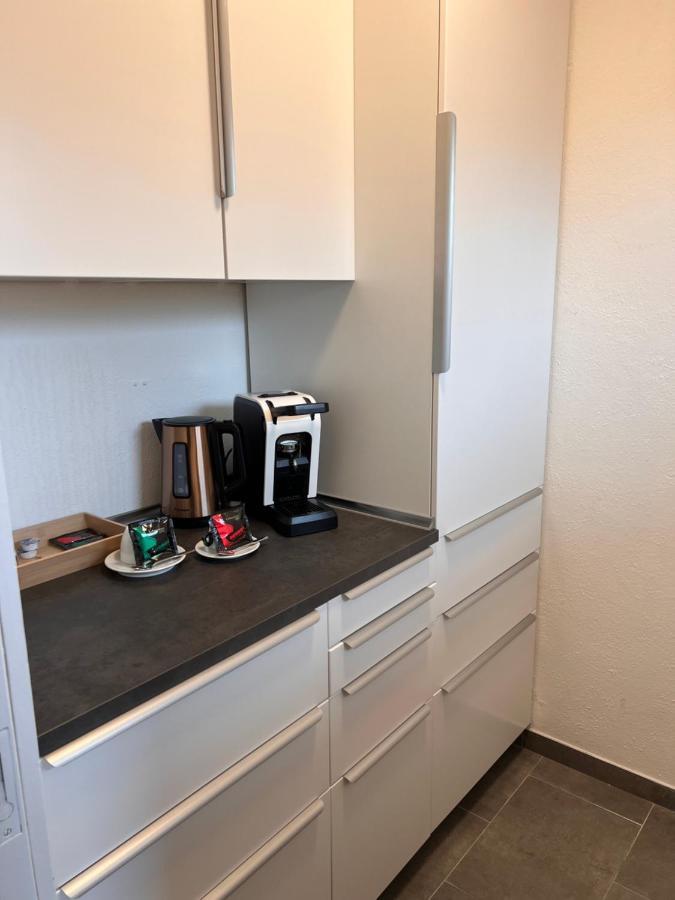 Lux Business Apartments 莱茵河畔威尔 外观 照片