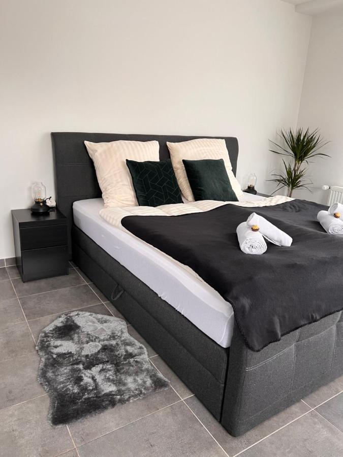 Lux Business Apartments 莱茵河畔威尔 外观 照片
